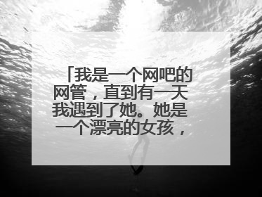 我是一个网吧的网管,直到有一天我遇到了她。她是一个漂亮的女孩,我想认识她。和她做朋友……