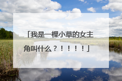 我是一棵小草的女主角叫什么?!!!!