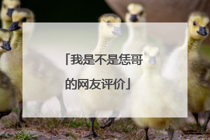 我是不是恁哥的网友评价