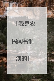 我是农民闻名谁演的