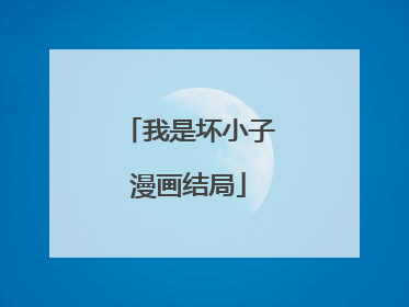 我是坏小子漫画结局