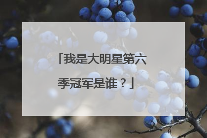 我是大明星第六季冠军是谁?