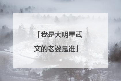 我是大明星武文的老婆是谁