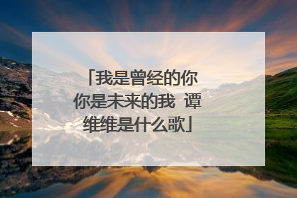 我是曾经的你 你是未来的我 谭维维是什么歌