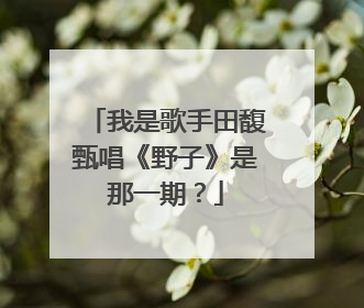 我是歌手田馥甄唱《野子》是那一期?