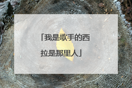 我是歌手的西拉是那里人