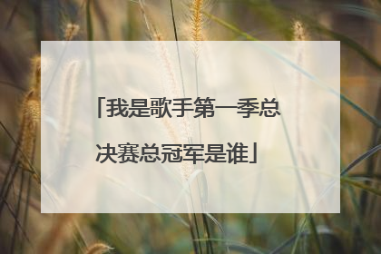 我是歌手第一季总决赛总冠军是谁