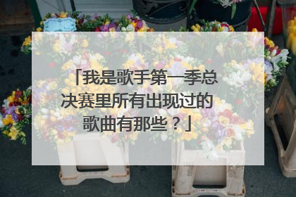 我是歌手第一季总决赛里所有出现过的歌曲有那些?