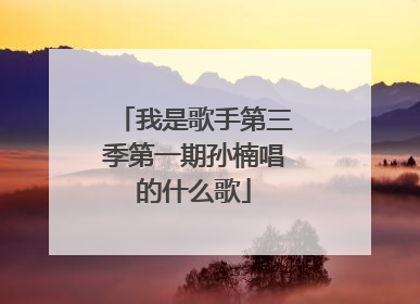 我是歌手第三季第一期孙楠唱的什么歌