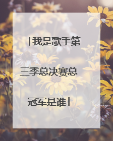 我是歌手第三季总决赛总冠军是谁