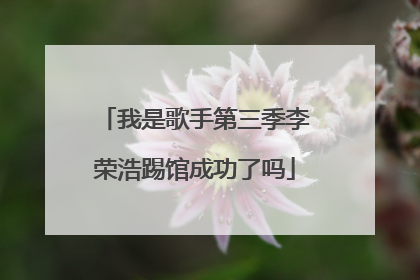 我是歌手第三季李荣浩踢馆成功了吗