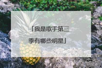 我是歌手第三季有哪些明星