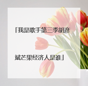 我是歌手第三季胡彦斌芒果经济人是谁