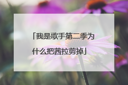 我是歌手第二季为什么把茜拉剪掉