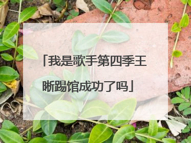 我是歌手第四季王晰踢馆成功了吗