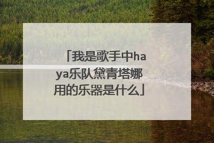我是歌手中haya乐队黛青塔娜用的乐器是什么