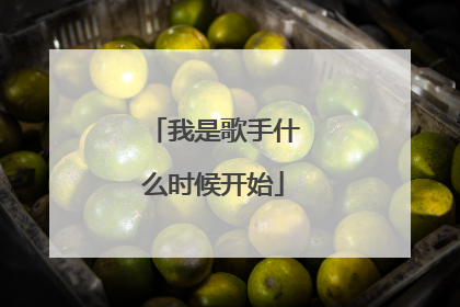我是歌手什么时候开始