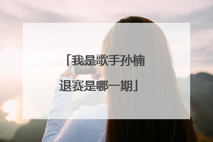 我是歌手孙楠退赛是哪一期