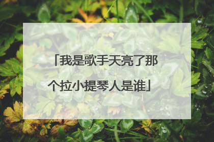我是歌手天亮了那个拉小提琴人是谁