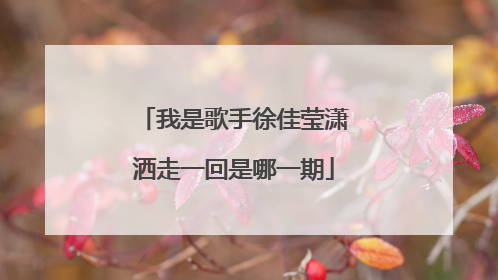 我是歌手徐佳莹潇洒走一回是哪一期