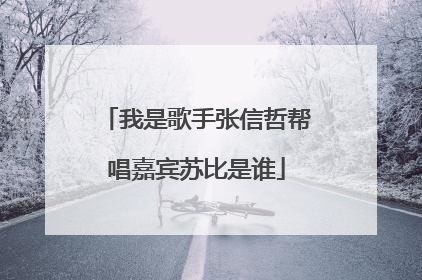 我是歌手张信哲帮唱嘉宾苏比是谁
