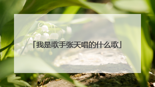 我是歌手张天唱的什么歌