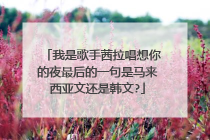 我是歌手茜拉唱想你的夜最后的一句是马来西亚文还是韩文?