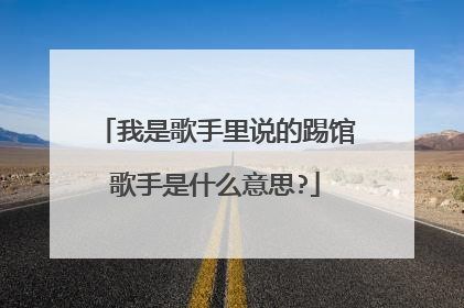 我是歌手里说的踢馆歌手是什么意思?