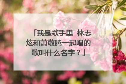 我是歌手里 林志炫和萧敬腾一起唱的歌叫什么名字?