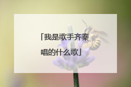 我是歌手齐秦唱的什么歌