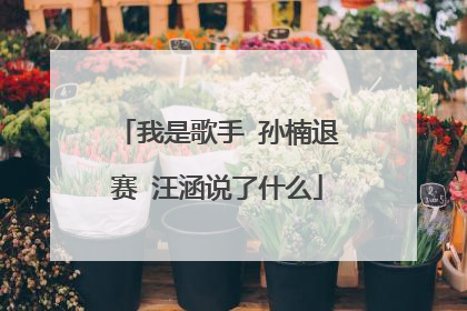 我是歌手 孙楠退赛 汪涵说了什么