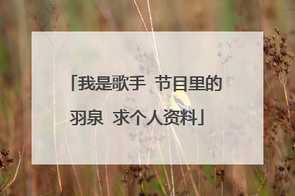 我是歌手 节目里的羽泉 求个人资料