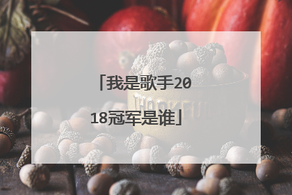 我是歌手2018冠军是谁