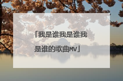 我是谁我是谁我是谁的歌曲MV