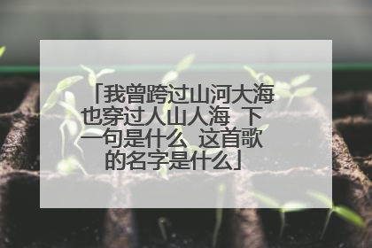 我曾跨过山河大海也穿过人山人海 下一句是什么 这首歌的名字是什么