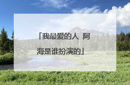我最爱的人 阿海是谁扮演的