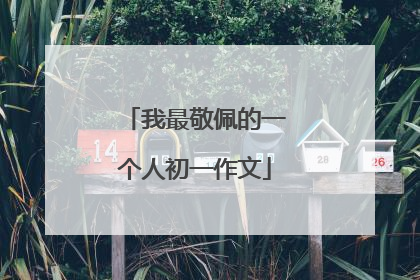 我最敬佩的一个人初一作文