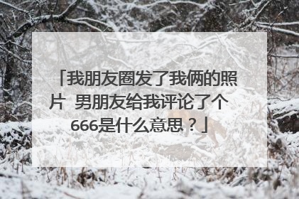 我朋友圈发了我俩的照片 男朋友给我评论了个666是什么意思?