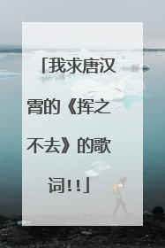 我求唐汉霄的《挥之不去》的歌词!!
