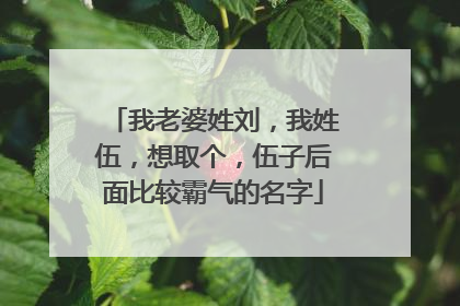 我老婆姓刘,我姓伍,想取个,伍子后面比较霸气的名字