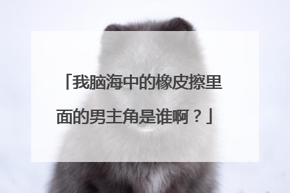 我脑海中的橡皮擦里面的男主角是谁啊?