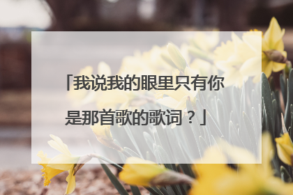 我说我的眼里只有你是那首歌的歌词？