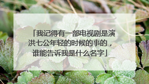 我记得有一部电视剧是演洪七公年轻的时候的事的，谁能告诉我是什么名字