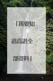 我要知道高进全部资料