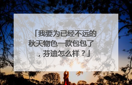 我要为已经不远的秋天物色一款包包了,芬迪怎么样?