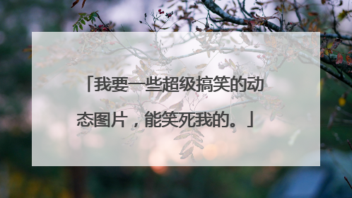 我要一些超级搞笑的动态图片，能笑死我的。