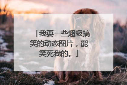 我要一些超级搞笑的动态图片，能笑死我的。