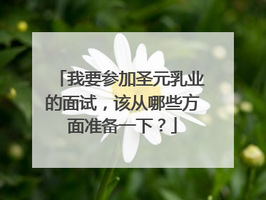 我要参加圣元乳业的面试，该从哪些方面准备一下？