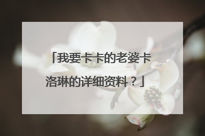 我要卡卡的老婆卡洛琳的详细资料？