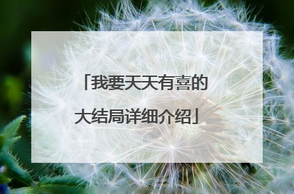 我要天天有喜的大结局详细介绍
